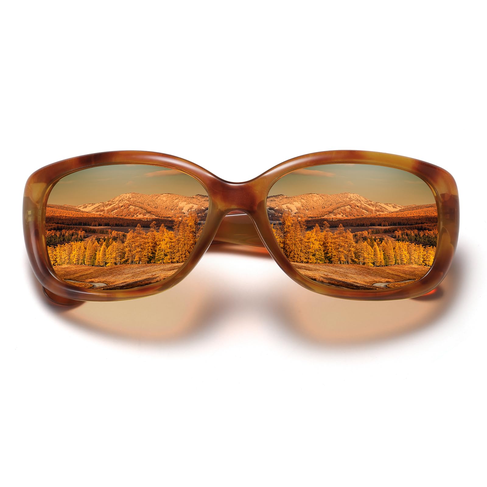 HAOLOTA Vintage Designer Sunglasses Women SG0111