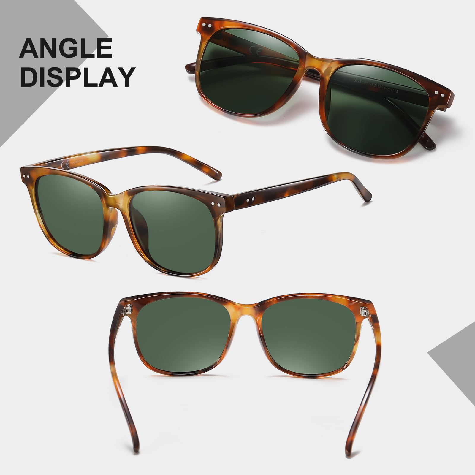 HAOLOTA 2pcs Classic Round Sunglasses Women SG8081-2P